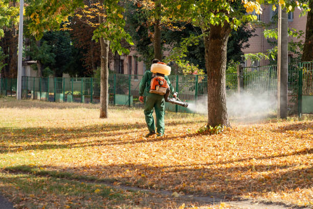 Best Best Pest Control Companies  in Magnolia, TX