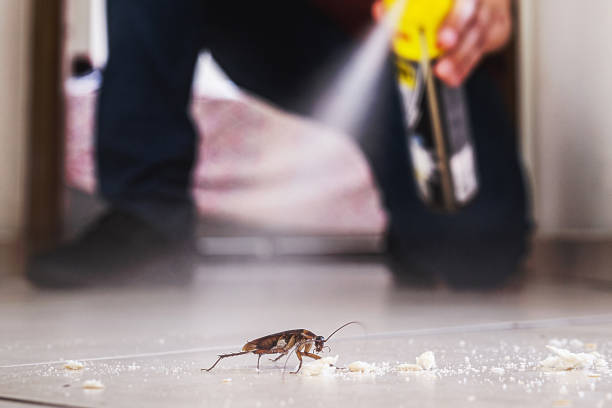 Best Affordable Pest Control Services  in Magnolia, TX